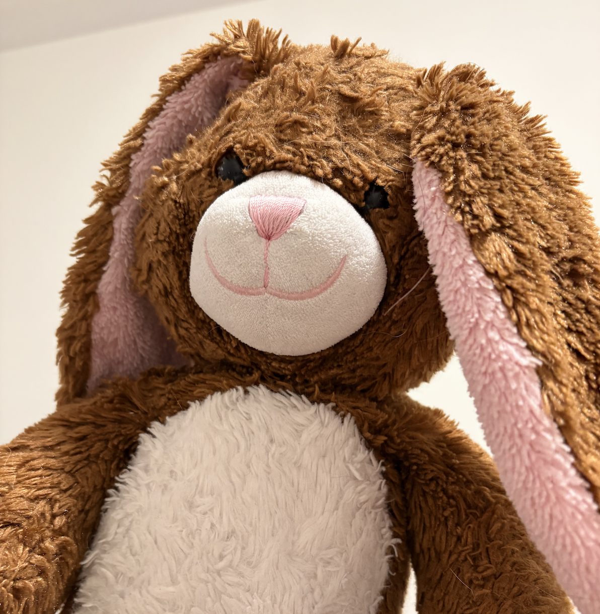 Stuffed toy to do possible interaction with, squeeze/hug it.